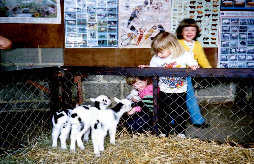 Jo, Sara & Lou - Finkley Down Farm Andover